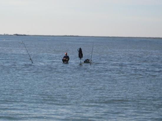 Le pêcheur au bord du chenal nous menant au port Napoléon (Camargue, Port St Louis du Rhône)