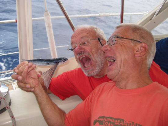Appétissant ce poisson volant !!!