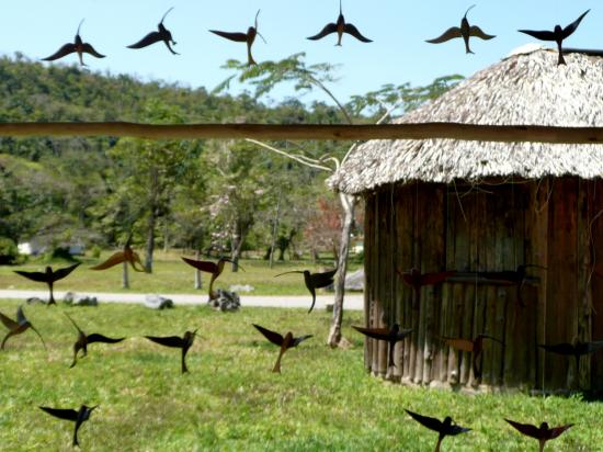 Petits colibris sculptés dans du bois exotique