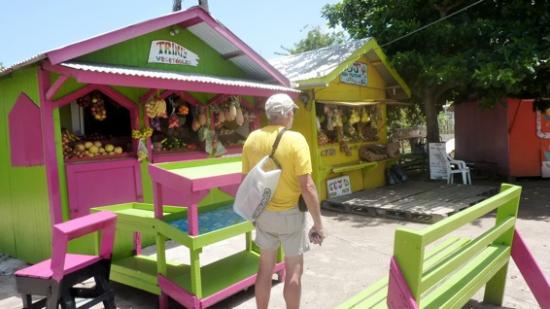St Vincent and Grenadines