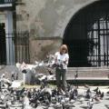 Pigeonnée...