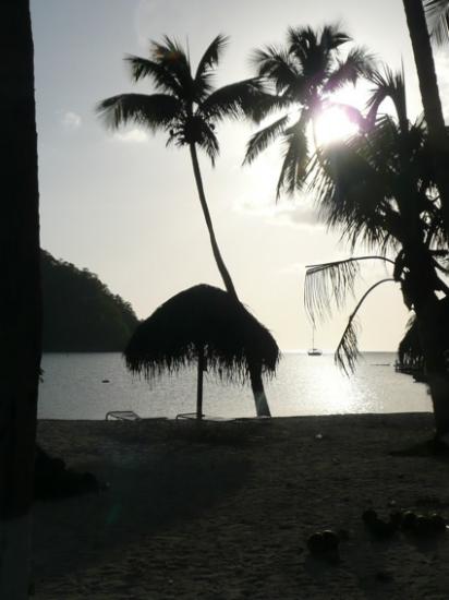 De la Martinique à trinidad et Tobago