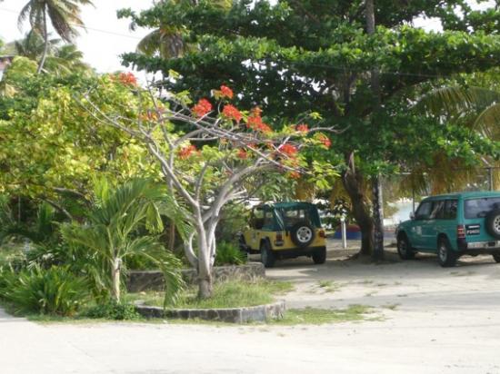 De la Martinique à trinidad et Tobago
