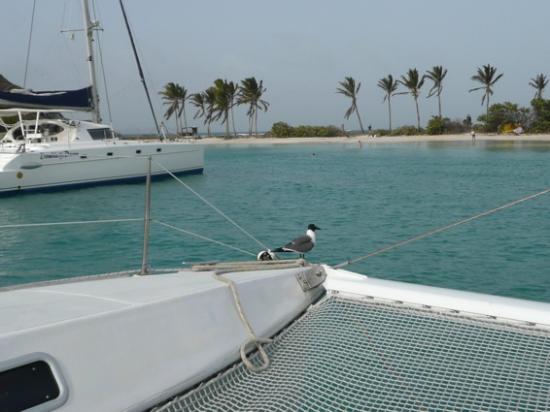 De la Martinique à trinidad et Tobago