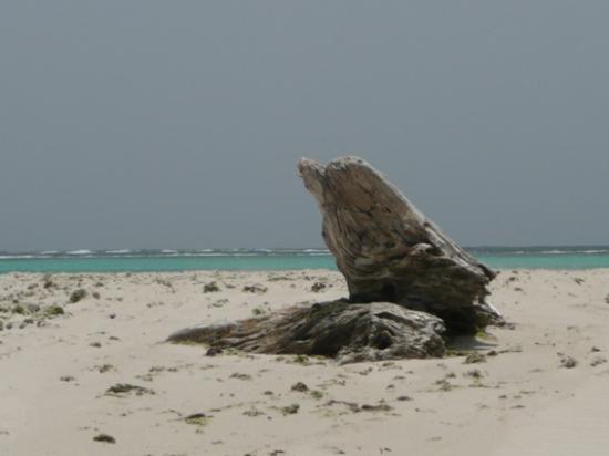 De la Martinique à trinidad et Tobago