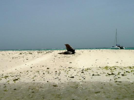 De la Martinique à trinidad et Tobago