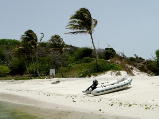 De la Martinique à trinidad et Tobago