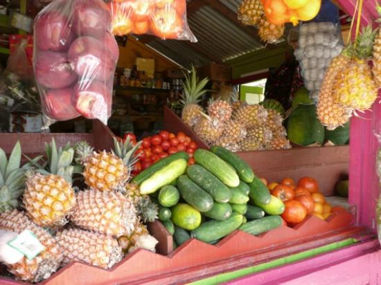 De la Martinique à trinidad et Tobago