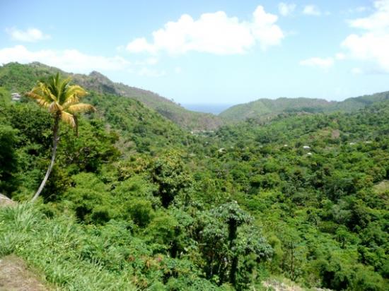 De la Martinique à trinidad et Tobago