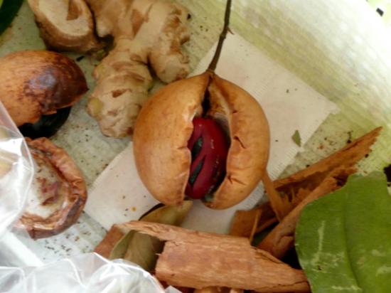 De la Martinique à trinidad et Tobago