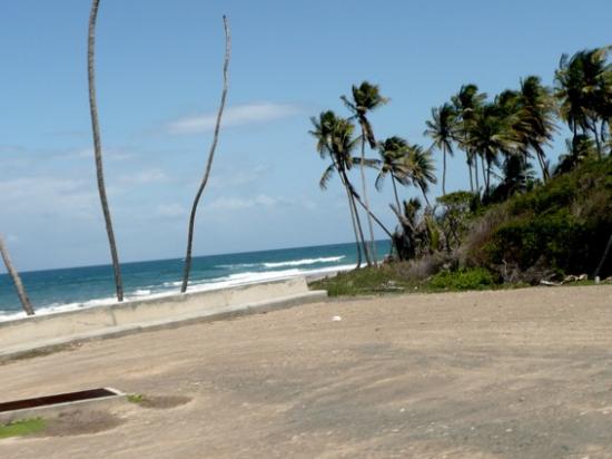 De la Martinique à trinidad et Tobago