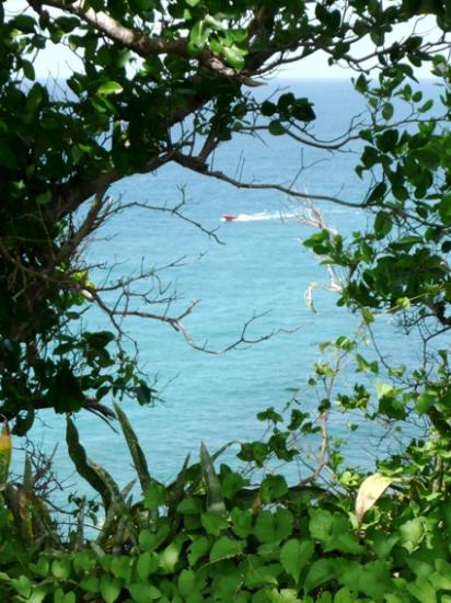 De la Martinique à trinidad et Tobago