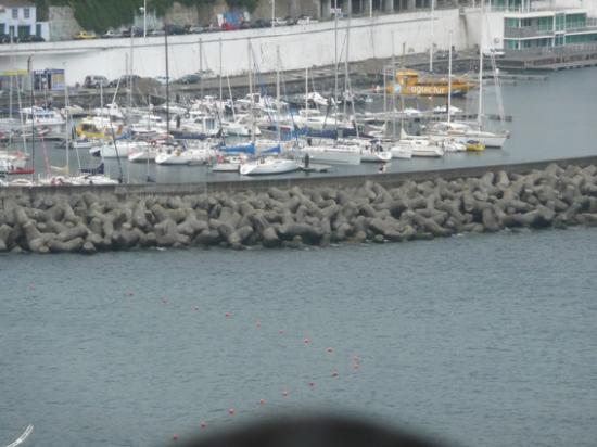 Vue sur la marina avec Caramel à l'extrême droite