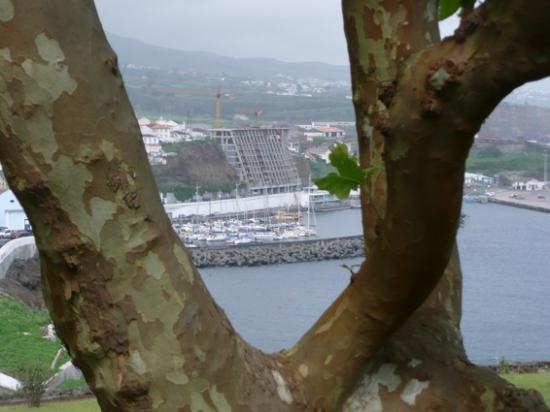 La marina vue du fort