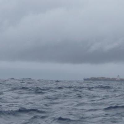 UN grand paquebot sort de la brume